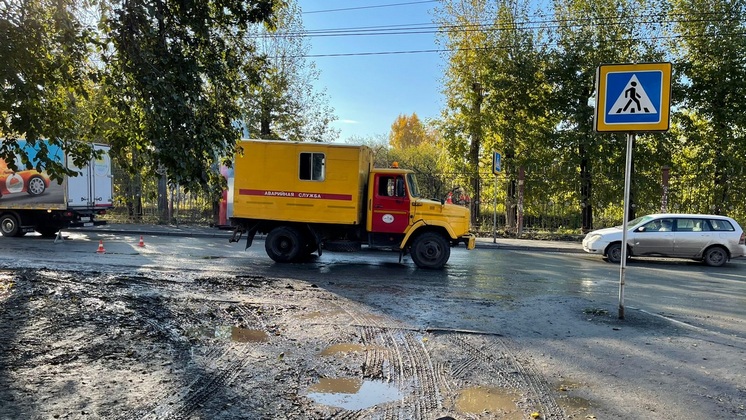 В Новосибирске водитель ЗИЛ сбил 17-летнюю девушку 