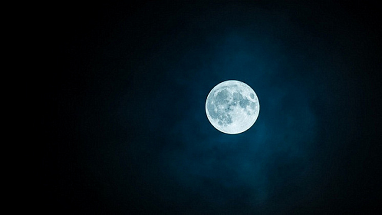 Новосибирцев поразит своей красотой «Цветочная Луна» ночью с 23 на 24 мая