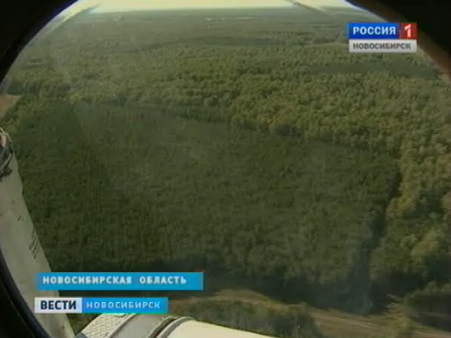 Лесные пожары в Новосибирской области будут тушить добровольцы