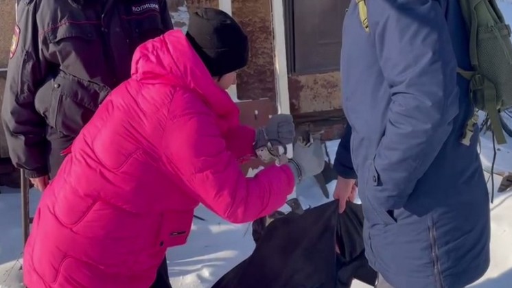 В Бердске женщина предстанет перед судом за зверское убийство родного брата