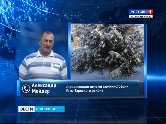 15 сантиметров снега выпало в Усть-Таркском районе Новосибирской области