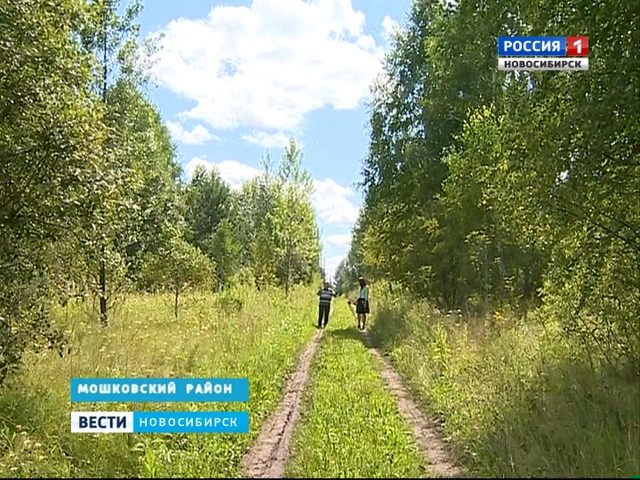 100 миллионов рублей теряет бюджет Новосибирской области из-за брошенных земельных участков