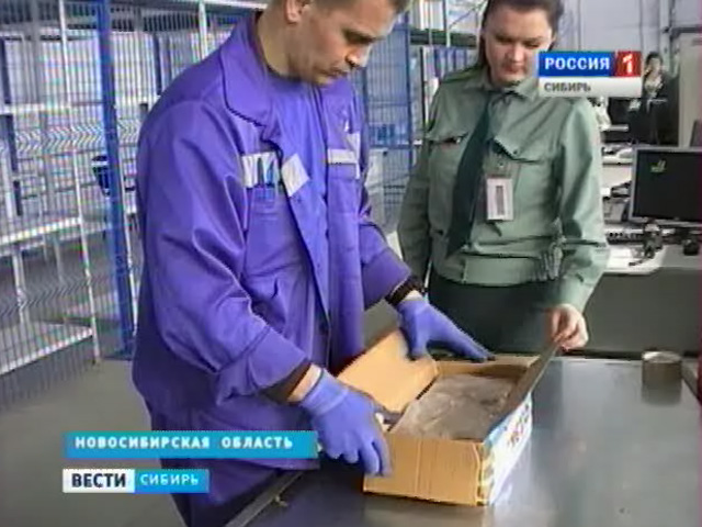Сибирские таможенники все чаще находят наркотики в международных посылках