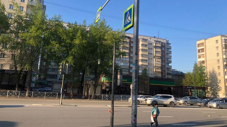 В Новосибирске машина сбила женщину и девочку с самокатом на пешеходном переходе
