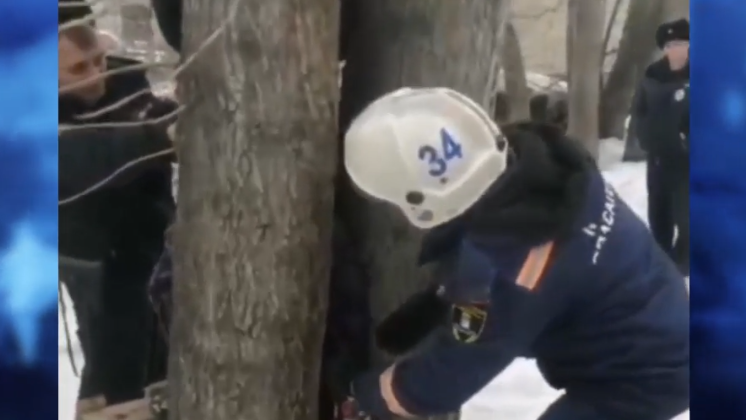 В Новосибирске 12-летний подросток попал в плен между стволами дерева 