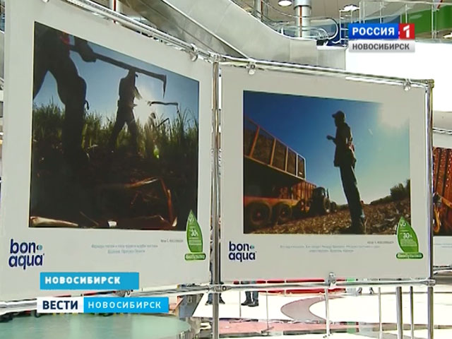 В Новосибирске открылась фотовыставка об экологическом будущем