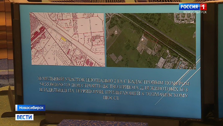 brx3nhr81ywtupkig0midenieo2mk5yu.png