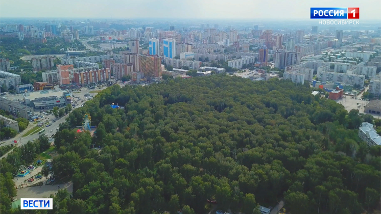 В парках Новосибирска началась санитарная вырубка деревьев