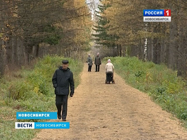 Новосибирские бизнесмены и преподаватели предлагают новое направление развития парковых зон