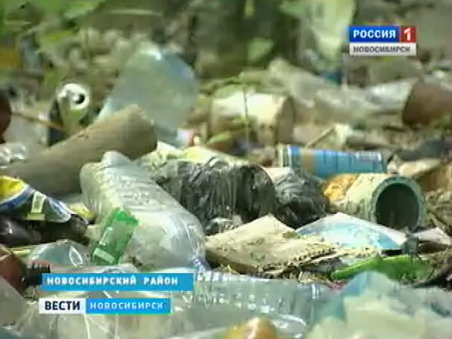 Жителям села Ярково некуда выбрасывать мусор