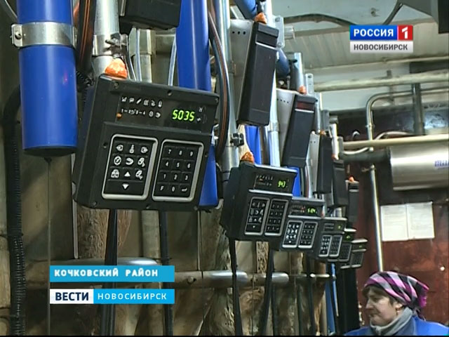 В Кочковском районе оценивают результаты работы автоматического доильного цеха