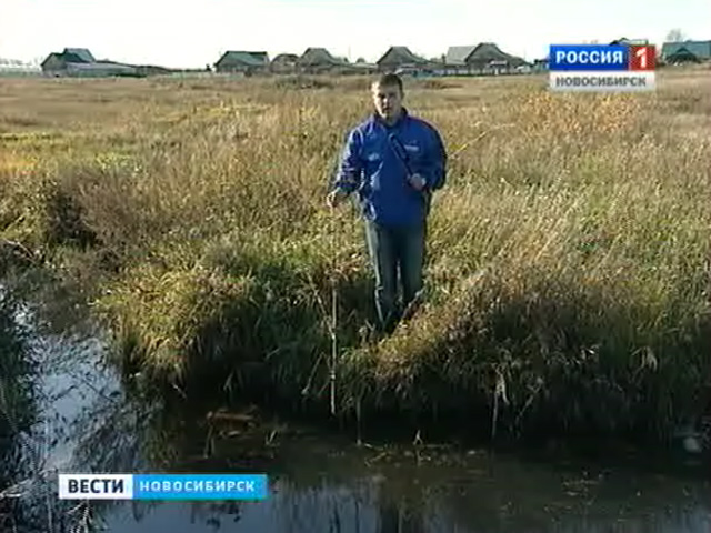 В засушливый год в селе Толмачево появилось маленькое озеро