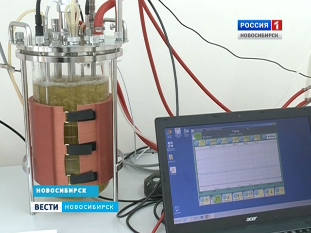 Молоко поможет победить рак: новосибирские ученые близки к созданию лекарства