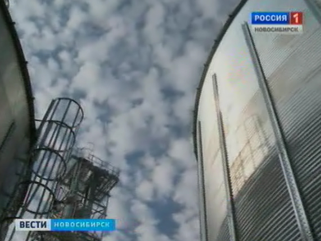 В Новосибирской области внедряют новые технологии хранения зерна