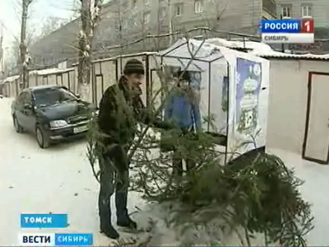 Специальные пункты по приему новогодних елок открыли в Томске