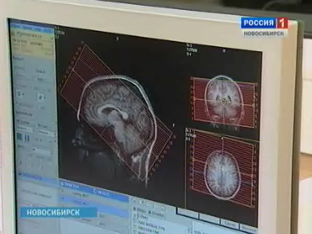 Новосибирские ученые проводят уникальные исследования по работе мозга