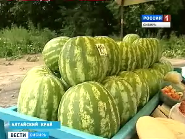 Главный санитарный врач России дал добро на покупку ранних арбузов