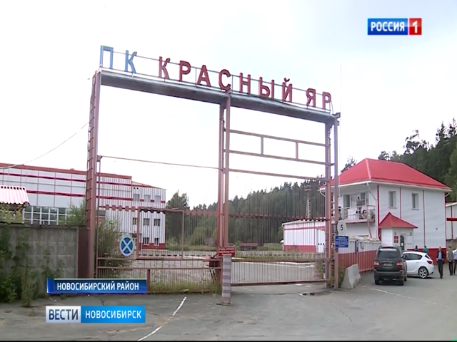 История банкротства компании «Красный Яр» в Новосибирской области