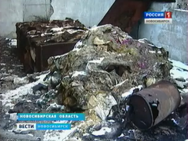 Заброшенный склад ядохимикатов обнаружили в Новосибирской области