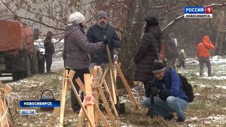 Больше сотни кедров высадили на Северо-Чемском жилмассиве в Новосибирске