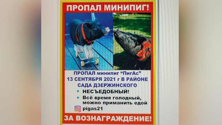 6fb8164e13525daa991f5b79ff58a82e.png