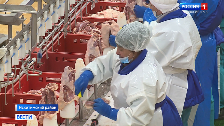 Производство утиного мяса развивают на фабрике в Искитимском районе