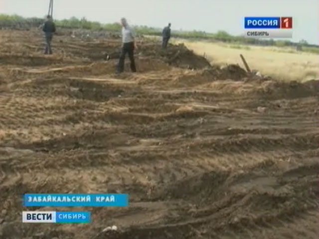 Нарушители платят миллионы за испорченные сельхозугодья в Сибири