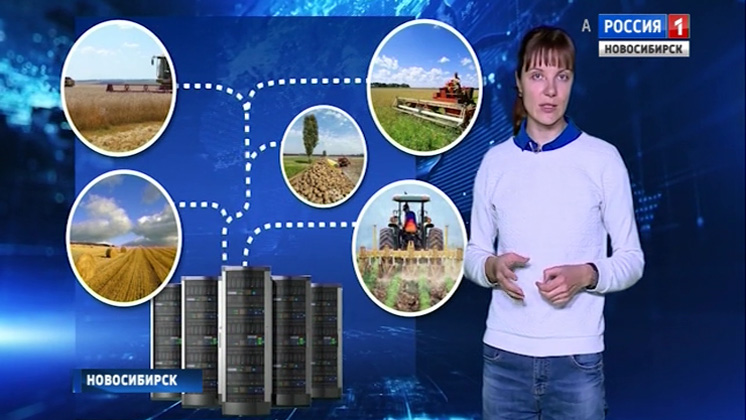 Новосибирские учёные предлагают создать единую цифровую платформу для российских фермеров