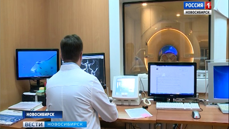 Новосибирские ученые изучают методы восстановления мозга после инсульта
