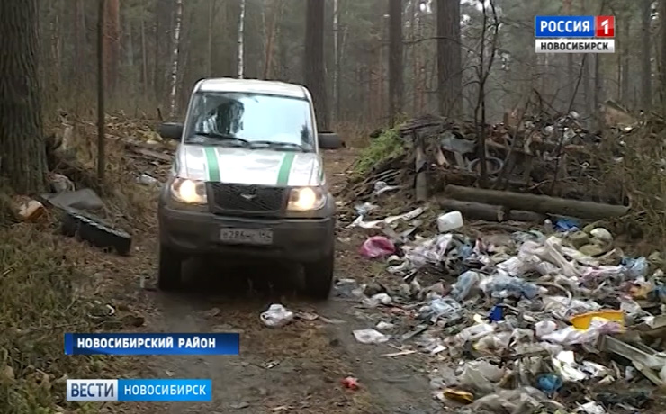 Руководителю интерната в поселке Зеленый Мыс грозит штраф за свалку в лесу