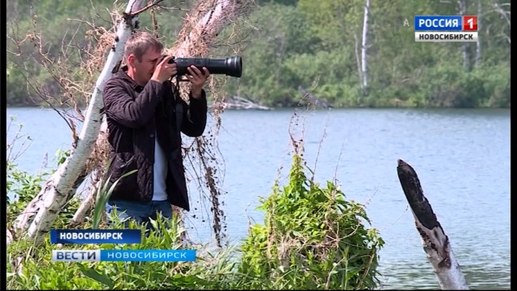 Фотографии энтузиаста пополнили Красную книгу Новосибирской области