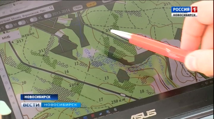 Новосибирские поисковики рассказали, как не заблудиться в лесу во время сбора грибов