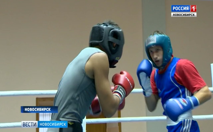 Новосибирские боксеры готовятся к Чемпионату Сибирского федерального округа