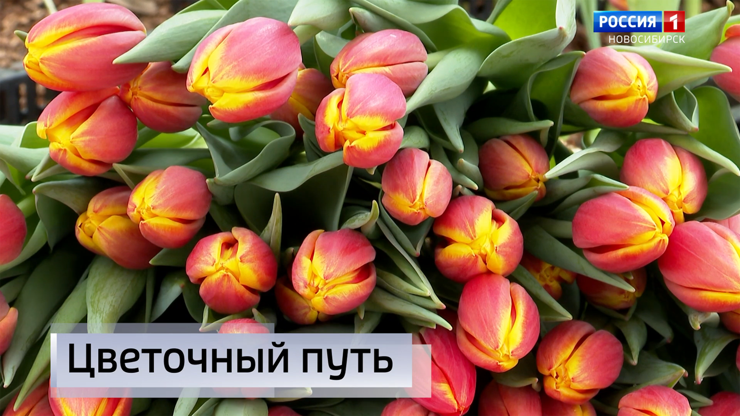 786fab749824dfe8fd697557360efd26.png
