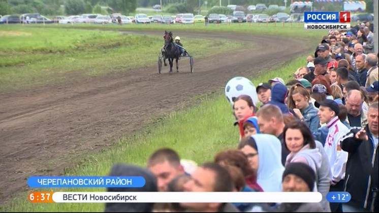 Масштабные конные заезды на приз губернатора прошли в Черепановском районе
