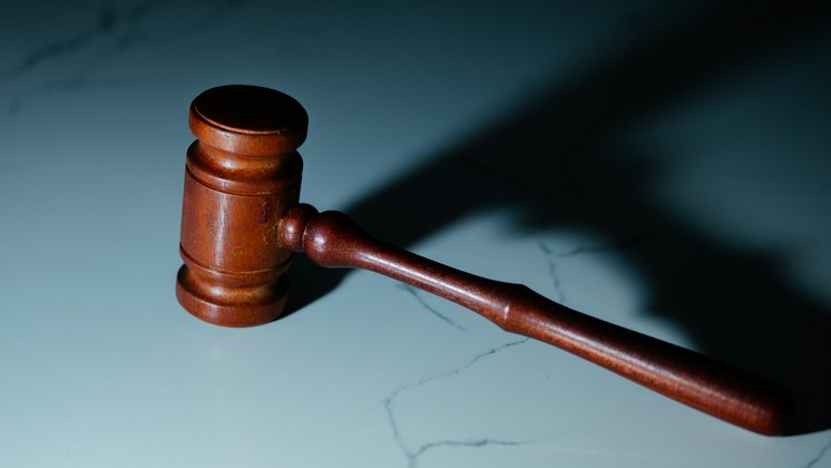 Жительницу Новосибирска осудили за организацию незаконной миграции