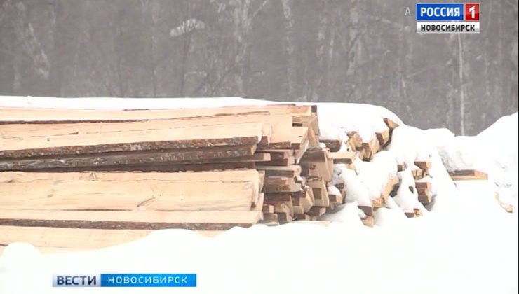  В Сузунском районе будут развивать лесопереработку