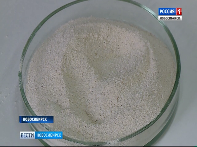 Новосибирские ученые создали лекарство из пихты и коры березы