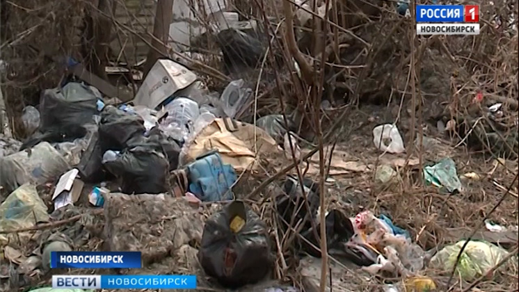 Жители частных домов в Дзержинском районе жалуются на сбои с вывозом мусора