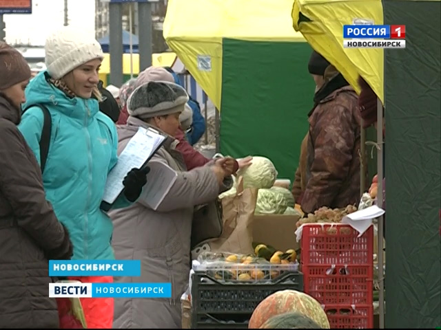 Общегородскую сельскохозяйственную ярмарку открыли в Новосибирске