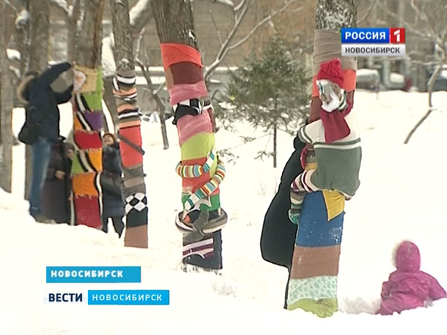 В Первомайском сквере Новосибирска одевают деревья в теплую одежду