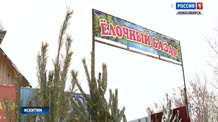 Рейды по ёлочным базарам проходят в Новосибирске и области