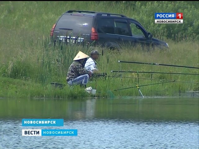 рыбалка в нсо вести с водоемов рыбалка в нсо вести с водоемов