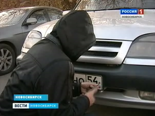 В Новосибирске участились случаи кражи автомобильных номеров