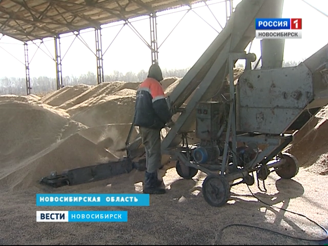 В Новосибирской области завершилась уборка зерновых