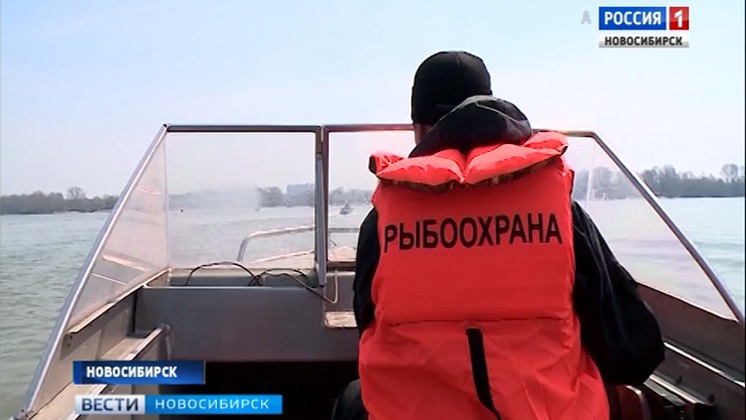 «Подари рыбам жизнь»:  установка нерестилищ началась в Новосибирской области