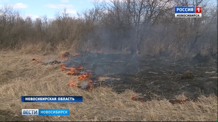 Спасатели с помощью дронов будут ловить поджигателей травы в Новосибирской области  