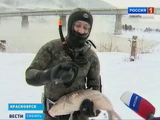 В Красноярске становится всё популярнее подводная рыбалка