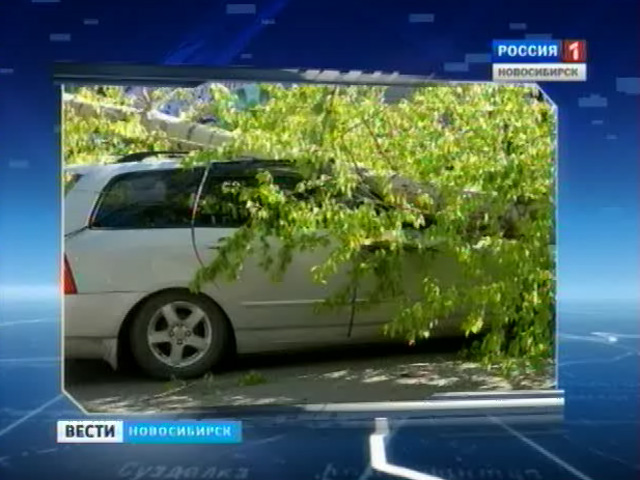 Последствия урагана устраняют сегодня в Новосибирске и области