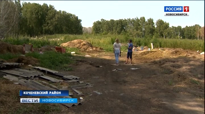 Жители села Прокудское в Коченевском районе жалуются на залитый навозом лес